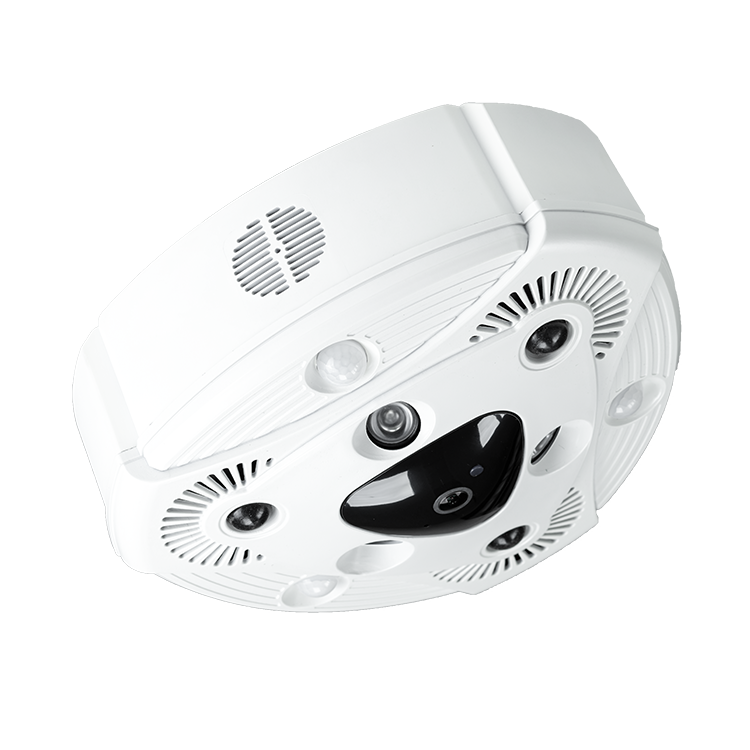 Einzelhandels-Sicherheits-Nebe – Home Security Fog System Bewertung und Preis