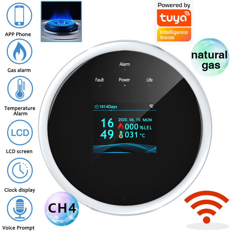 2,4G WiFi Gasalarm-Sensor, Det – Home Security Systems Bewertung und Preis
