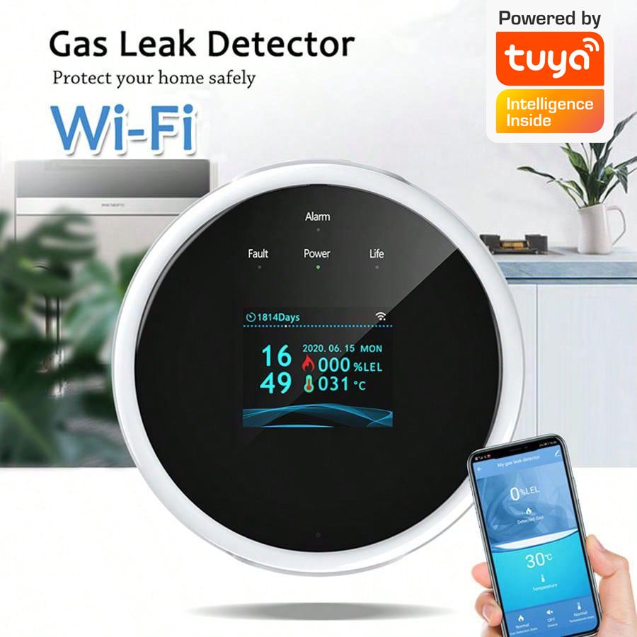 2,4G WiFi Gasalarm-Sensor, Det – Home Security Systems Bewertung und Preis
